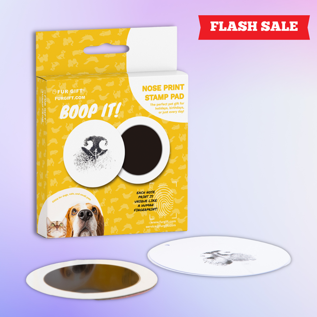 Pet Nose Print Stamp Kit