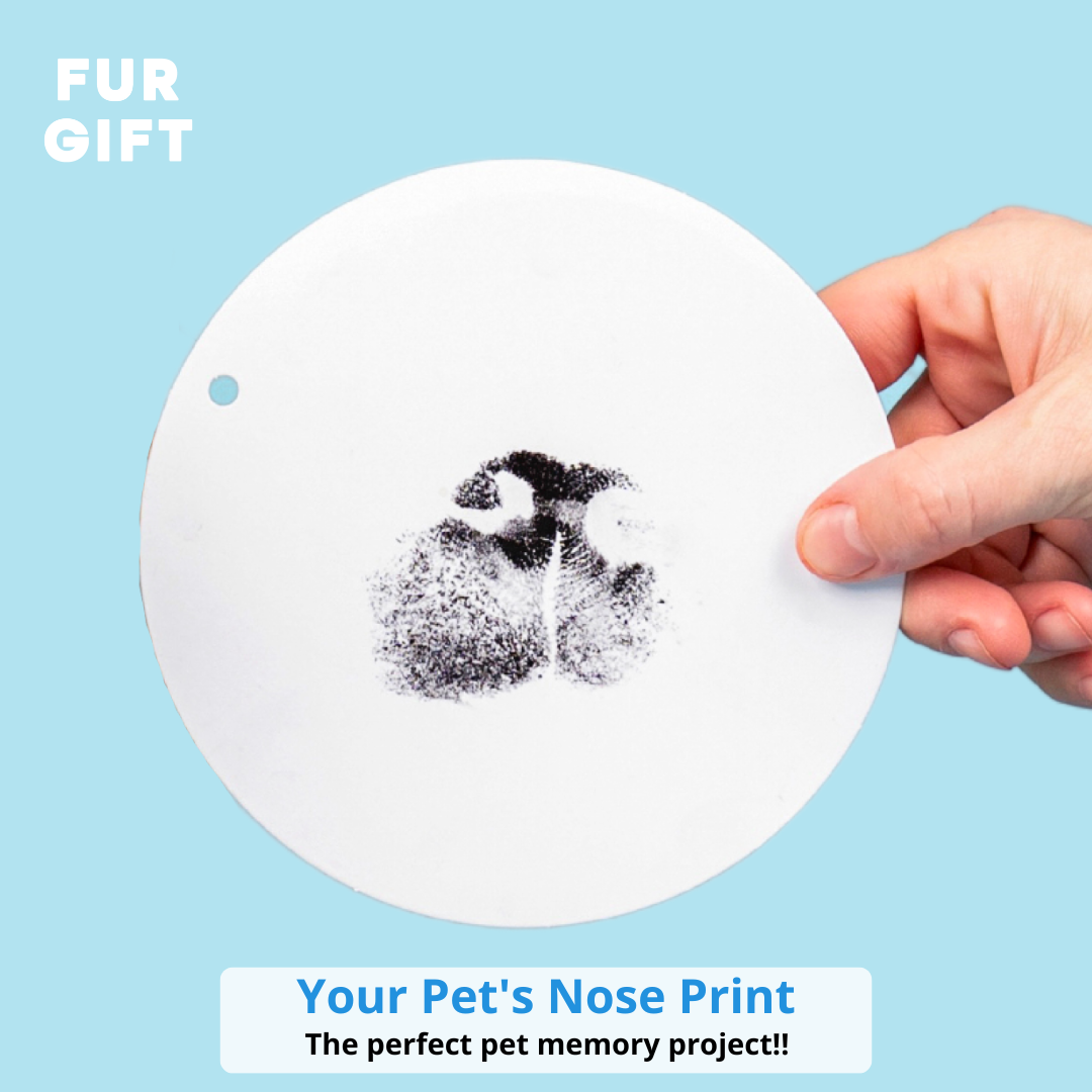 Pet Nose Print Stamp Kit 