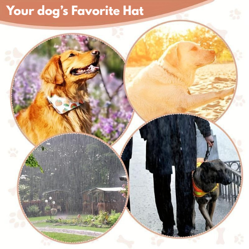 Fashionista Furbaby Sun Hat 