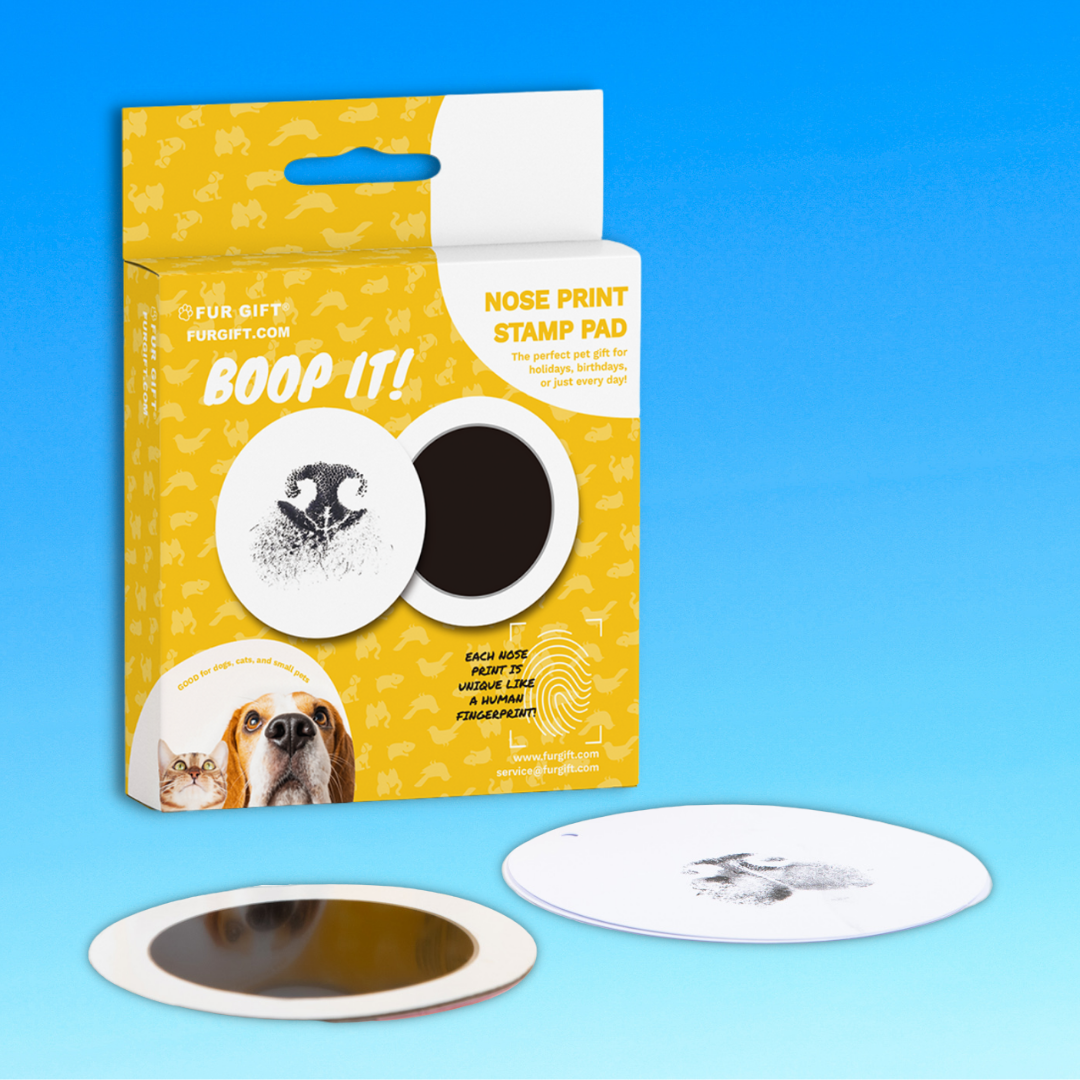 Pet Nose Print Stamp Kit 